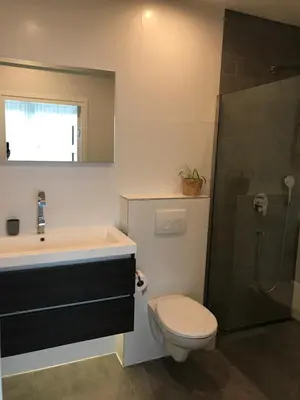 a bathroom with a toilet and a sink and a shower at Flowerbed in Voorhout
