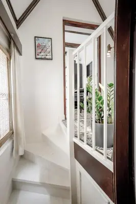 a hallway with a door and a potted plant at Aris Amsterdam in Amsterdam