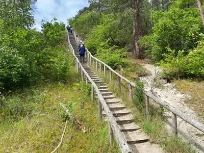 a person walking up a wooden stairs in the woods at Koningshof in Schoorl