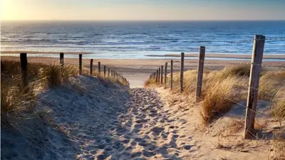 a fence on a sandy beach near the ocean at Cottage 44 - Free parking! in Zandvoort