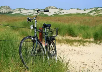 a bike parked in the grass on the beach at Cottage 44 - Free parking! in Zandvoort