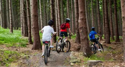 three people riding bikes on a trail in the woods at Rekerlanden 119 de Amandelbloesem in Schoorldam
