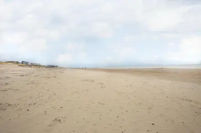 an empty beach with footprints in the sand at DE TRINTEL op 1e verdieping met ruim terras en zeezicht in Egmond aan Zee