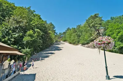 a beach with a light pole and flowers on it at Villa Prinsenhof # Vierentwintig in Bergen