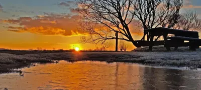 a sunset over a pond with the sun setting in the background at Villa Prinsenhof # Vijfentwintig in Bergen