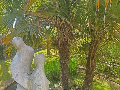 a statue of two angels next to a palm tree at Villa Prinsenhof # Zes in Bergen