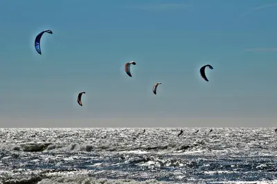 a group of kites flying over the ocean at Villa Prinsenhof # Zestien in Bergen