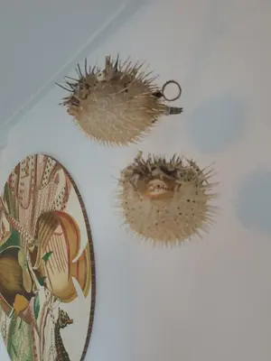 three hedgehogs on a wall next to a mirror at Little Lodge Noordwijk aan Zee in Noordwijk