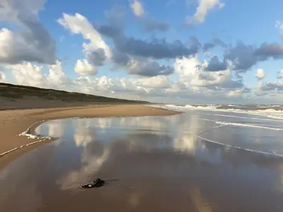 a dog laying on the sand on a beach at Little Lodge Noordwijk aan Zee in Noordwijk
