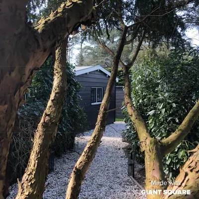 two trees in front of a black shed at Schoorl Seasons Garden House 2026 in Schoorl