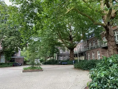 an empty street in front of a building with trees at Dreamtime Houseboat in Amsterdam