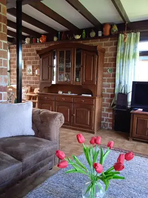 a living room with a couch and a vase of red flowers at Vakantiehuis Friedeburg in Warmenhuizen