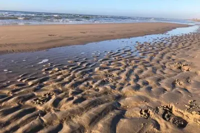 a sandy beach with a view of the ocean at Have a nice stay! - Blue Beach House 350 meters from sea in Noordwijk aan Zee