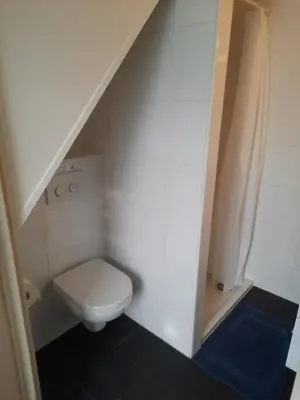 a small bathroom with a toilet and a shower at Have a nice stay! - Blue Beach House 350 meters from sea in Noordwijk aan Zee