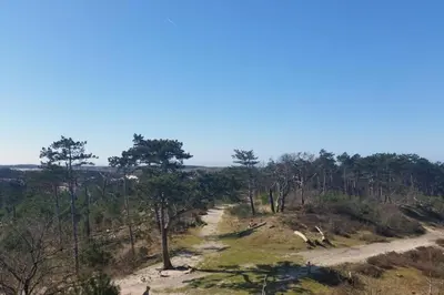 a dirt road in the middle of a forest at Chalet Bergen NH, Schoorl, Schoorldam in Warmenhuizen