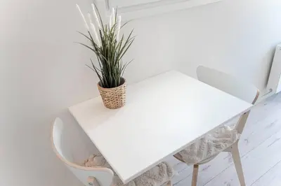 a white table and chairs with a plant on it at Studio Jadana in Zandvoort