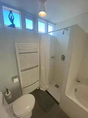 a bathroom with a toilet and a shower and a sink at Park View Apartment in Amsterdam