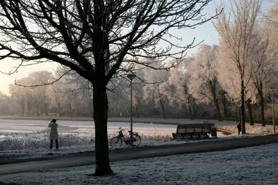 a person walking a bike in a park with a tree at Park View Apartment in Amsterdam