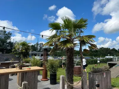 a palm tree in a garden with people walking around at Holiday Home Havenlodge by Interhome in Uitgeest