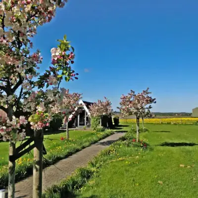 a garden with flowering trees in front of a house at Hotelhuisje Warmenhuizen #D in Warmenhuizen
