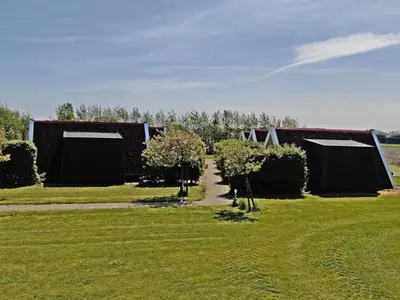 a row of trees in a field next to a building at Hotelhuisje Warmenhuizen #E in Warmenhuizen