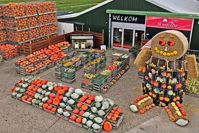 a produce market with a scarecrow in front of a store at Hotelhuisje Warmenhuizen #F in Warmenhuizen