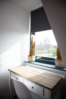 a window with two potted plants on top of a desk at Bed and Wine Nonsolovino in Reeuwijk