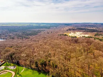 an aerial view of a forest with trees at Villa Noordeinde in Bergen