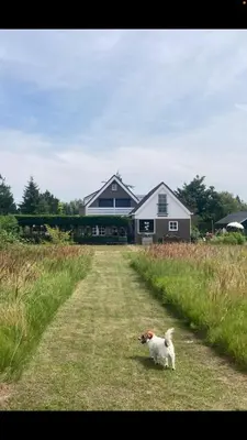 a dog sitting in the grass in front of a house at B&BOosterweg3 Studio - Free private parking in Heemskerk