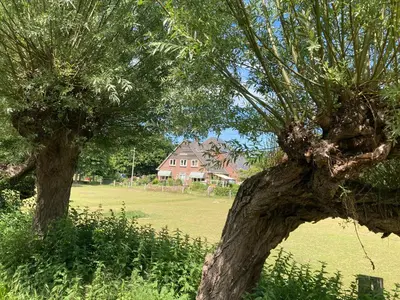 two trees in a field with a house in the background at B&BOosterweg3 Studio - Free private parking in Heemskerk