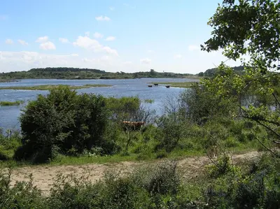 a view of a river with trees and bushes at Luxe Chalet Marbella IJmuiden aan Zee in IJmuiden