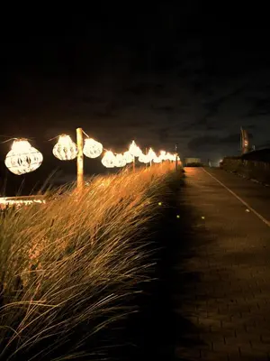 a row of lights on the side of a road at night at Boutique Hotel At Sea in Zandvoort