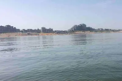 a body of water with a beach in the background at Beachhouse SeaBreeze - vernieuwd! in Noordwijk