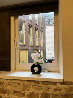 a vase with flowers sitting on a window sill at Studio E in Purmerend