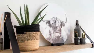 a picture of a cow on a shelf with a plant at HuisjehurenEgmond in Egmond aan Zee