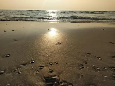 a couple of footprints in the sand on the beach at Knus huisje met prachtige nieuwe badkamer - Distelhoek in Egmond aan Zee