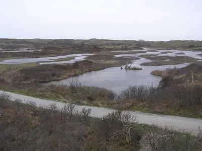 a river in the middle of a field with water at Chalet Playa direct aan zee in IJmuiden in IJmuiden