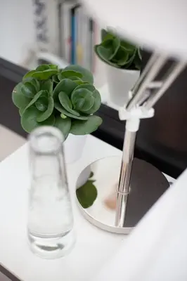 a green plant in a vase on a table at Darley's in Hilversum
