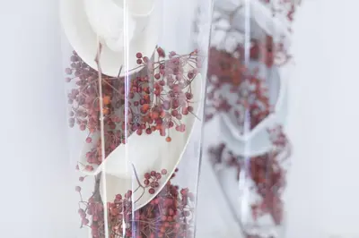 a bunch of red berries in a glass vase at Darley's in Hilversum