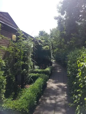 Gallery image of Zonnig Zuid in Dirkshorn