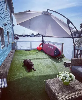 a dog laying on the grass next to the water at Amster Houseboat in Amsterdam