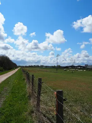 a fence in a field with sheep in the distance at Polderlodge in Hillegom