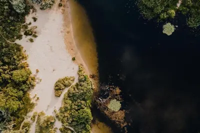 an overhead view of a body of water with trees at Apartment De Drie Tulpen in Zandvoort