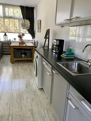 a kitchen with a sink and a dishwasher at Amsterdam Beach Apartment 2, Private Garden in Zandvoort
