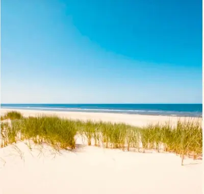 a beach with grass and the ocean in the background at Beachhouse Wijk aan Zee 6 guests near beach free parking in Wijk aan Zee