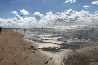 a group of people flying kites on the beach at Little Buddha in Zandvoort