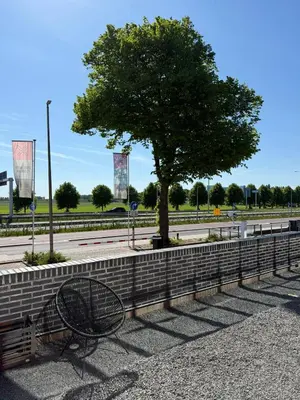 a bench sitting next to a tree on a sidewalk at The Florian Amsterdam Schiphol Airport, WorldHotels Crafted in Hoofddorp