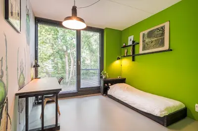 a green bedroom with a bed and a desk and a window at Villa Merici in Bergen