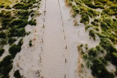 an aerial view of a beach with trees in the sand at Stop & Stay 1 in Zandvoort