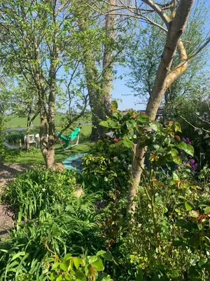 a park with trees and a swing at Lovely holiday house in Durgerdam in Amsterdam